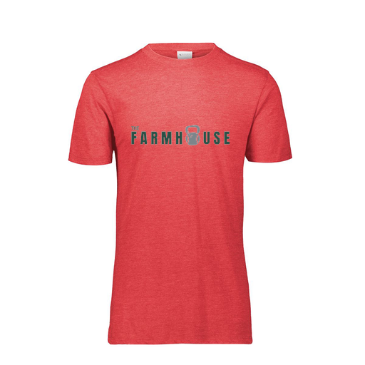 [FTSCUBRD-AS-LOGO2] Decker Men's Tri-Blend T-Shirt - Short Sleeve (Adult S, Red, Logo 2)